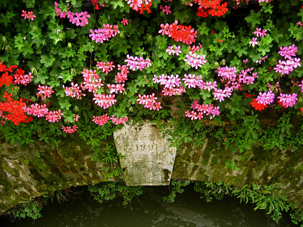 Flowers on Old Bridge Beautiful delicate red and pink flowers cascade over the side of an 1901 bridge, Dolo, Italy. 1901 stock pictures, royalty-free photos & images