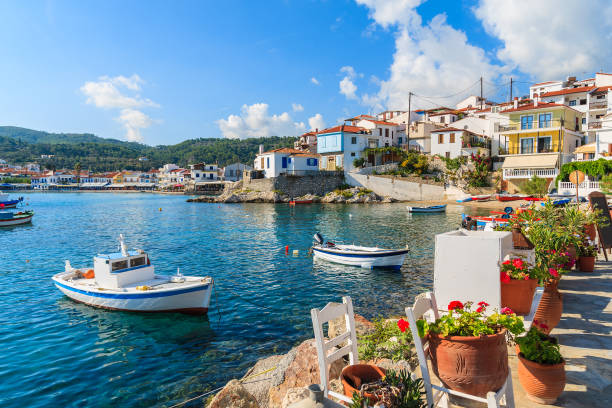 Flowers on shore with fishing boats in Kokkari port, Samos island, Greece stock photo