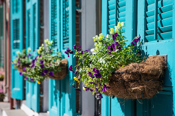 Flowers outside of a building in New Orleans stock photo