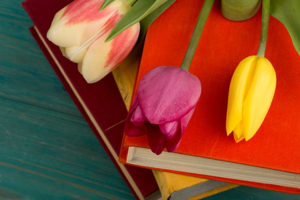 Flowers tulips and books on a blue wooden table stock photo