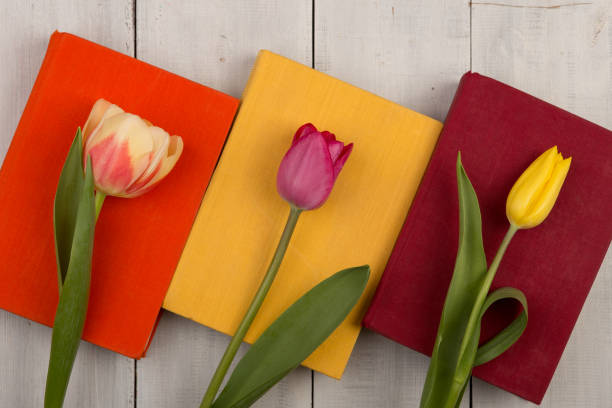 Flowers tulips and colored books on a white wooden table stock photo