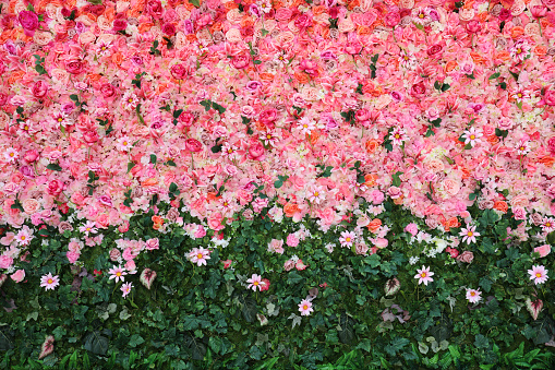 Flowers wall