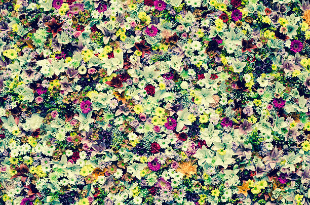 flowers wintage effect stock photo