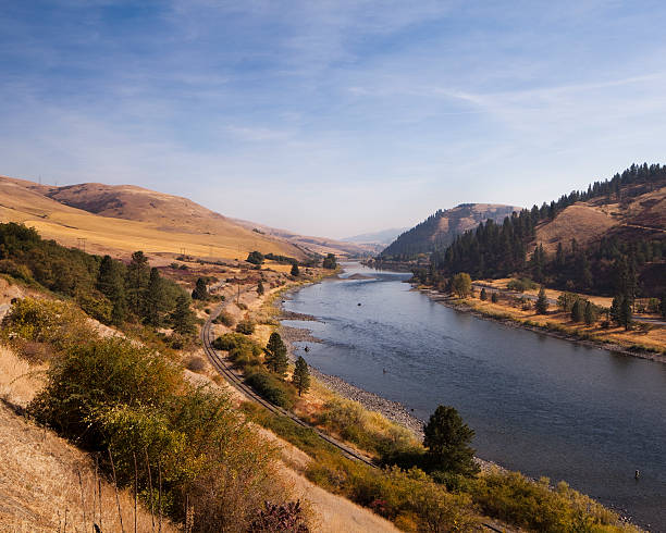 Fly fishing on the Clearwater river stock photo