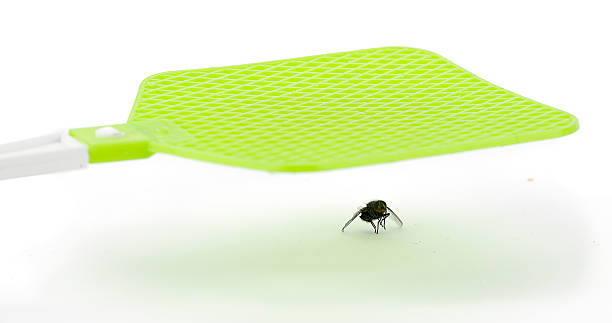fly swatter - vliegenmepper stockfoto's en -beelden