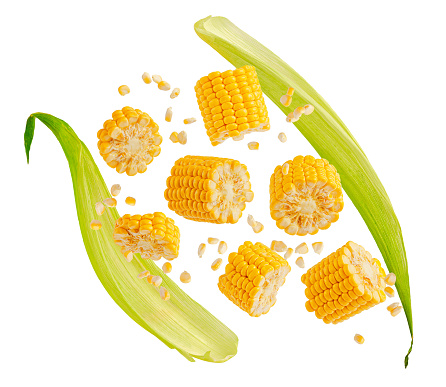Flying cracked corn cob with leaves isolated on white. Design element for product label, catalog print.