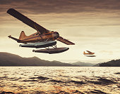 istock Flying in the Sunset 471938965