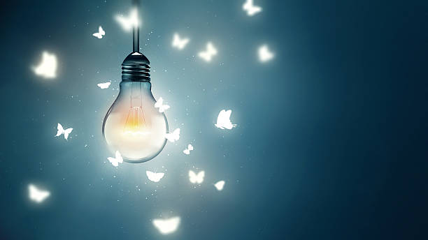 flying on light luminous bulb and butterflies flying on light moth stock pictures, royalty-free photos & images
