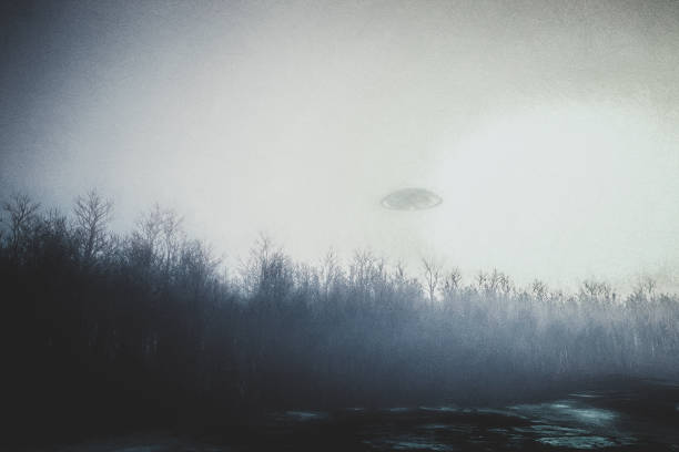 飛碟飛越森林夜間飛行 - ufo 個照片及圖片檔