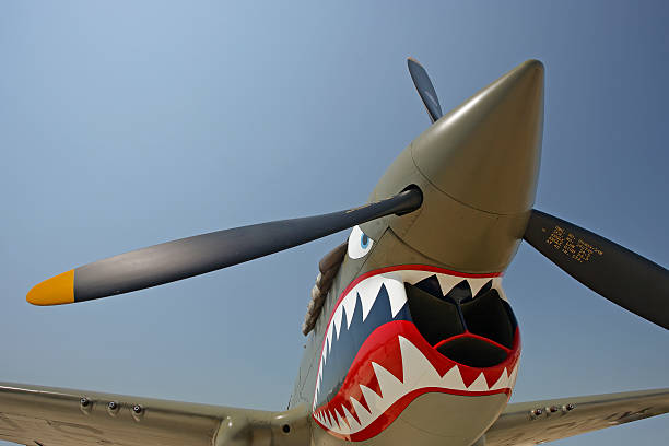 P-40 "Flying Tiger"Warhawk P-40 "Flying Tiger"Warhawk ww2 american fighter planes pictures stock pictures, royalty-free photos & images