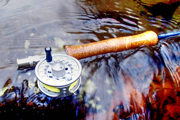Flyrod and reel stock photo
