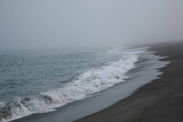 foggy beach stock photo