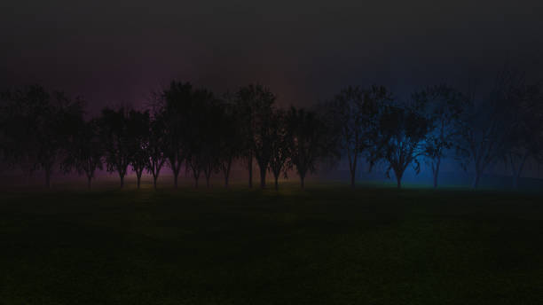 Foggy Forest and Lights stock photo