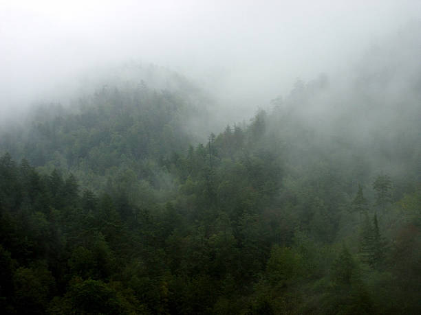 Foggy Mountain View stock photo