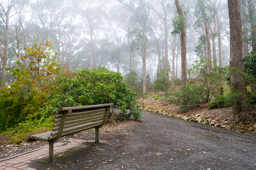 Foggy Path And Park Bench Mount Lofty Botanic Garden Sa Stock