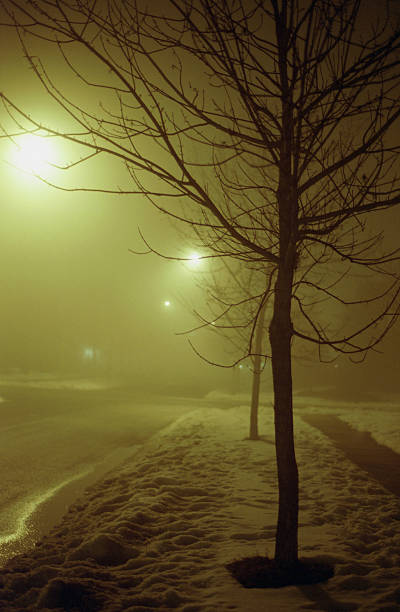 foggy winter stock photo
