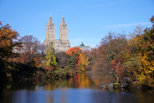 Foliage season in Central Park with the lake and the building on the back in New York City