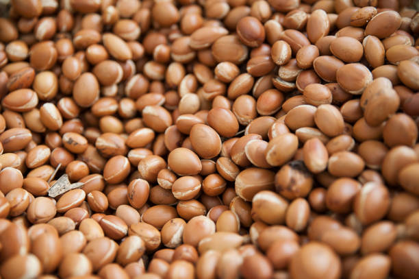 Food background - argan seeds stock photo