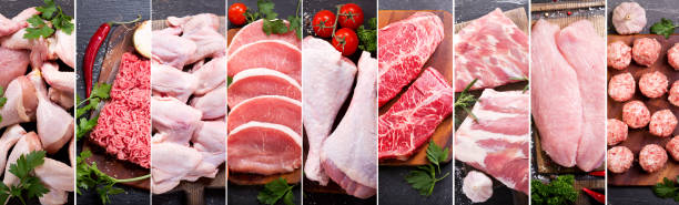 voedsel collage van verschillende vers vlees en kip - kip vlees stockfoto's en -beelden