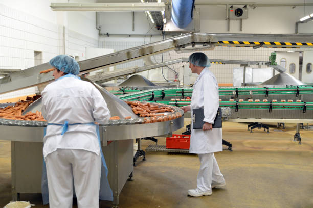 femmes de milieu de travail - usine de boucherie pour la production de saucisses - industrie alimentaire travaille sur la chaîne de montage - sécurité alimentaire photos et images de collection