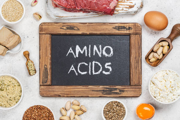 Food rich of amino acids Food rich of amino acids. Products containing natural amino acids amino acid stock pictures, royalty-free photos & images