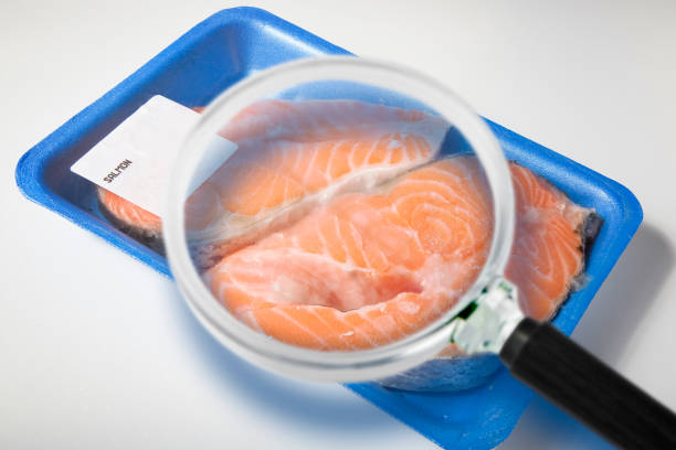 haccp (hazard analyses and critical control points) - food safety and quality control in food industry - concept with fresh fish salmon inside a plastic tray with cellophane cover packaging and magnifying glass - haccp imagens e fotografias de stock