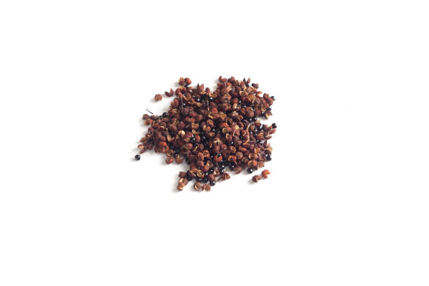Food Spice, Japanese (Sichuan) Pepper stock photo