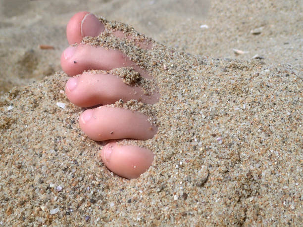 Foot buried in the sand A kid's foot buried in the sand at the beach human feet buried in sand. summer beach stock pictures, royalty-free photos & images