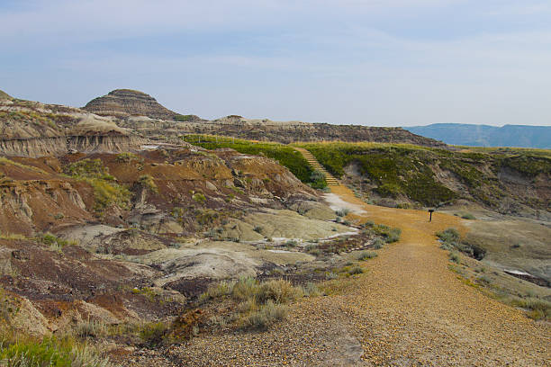 foot path in dinosaur provincial park - dinosaur trees stockfoto's en -beelden