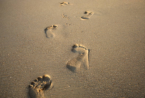 Foot prints in the sand on the beach stock photo