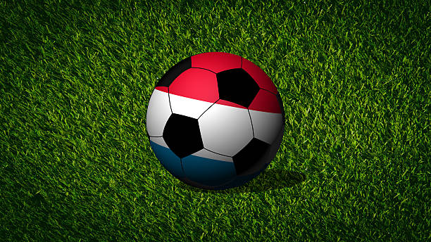 футбольный мяч с флагом нидерланды - michigan football стоковые фото и изображения