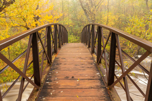 Footbridge In Autumn stock photo