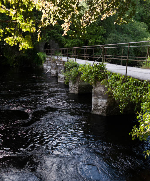 Footbridge over River Cong, County Mayo, Ireland This footbridge passes over River Cong from the historical abbey ruins to the grounds of Ashford Castle.  The river centerline is the border of Galway and Mayo counties.  Cong Village, County Mayo, Ireland michael stephen wills cong stock pictures, royalty-free photos & images