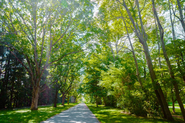 Footpath through Park in New Jersey stock photo