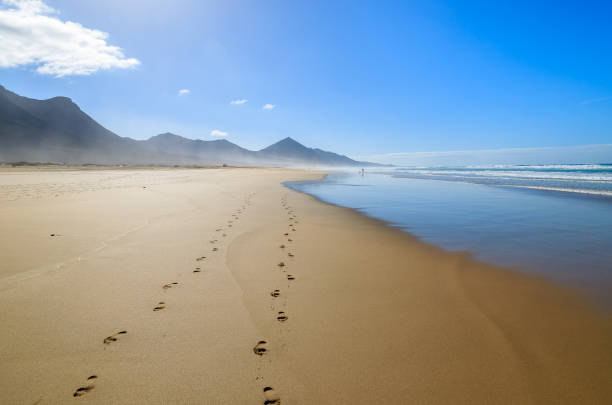 Footprints in sand on beautiful Cofete beach, Fuerteventura, Canary Islands, Spain stock photo