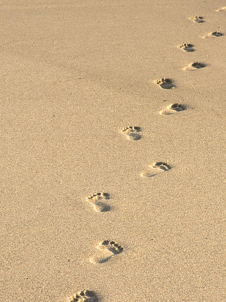 Footprints in Sand stock photo