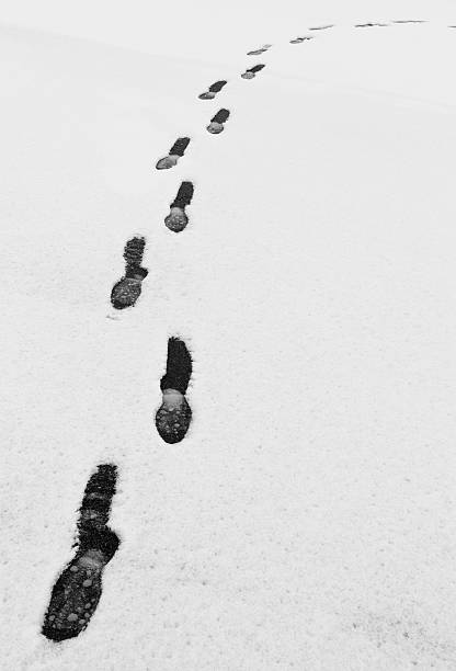 Footprints in the Canadian Snow stock photo