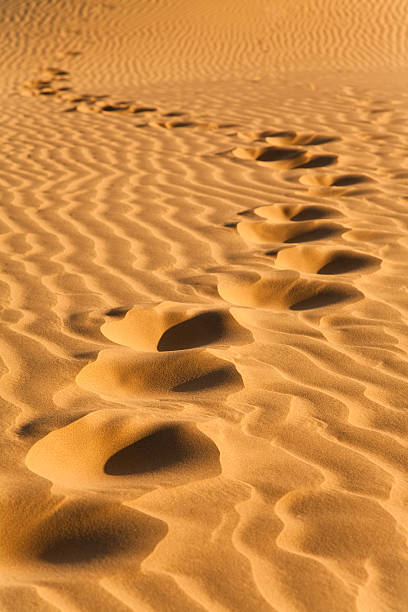 Footprints in the Desert stock photo