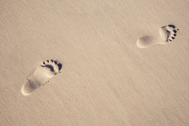 voetafdrukken in het zand bij de zee - voeten in het zand stockfoto's en -beelden