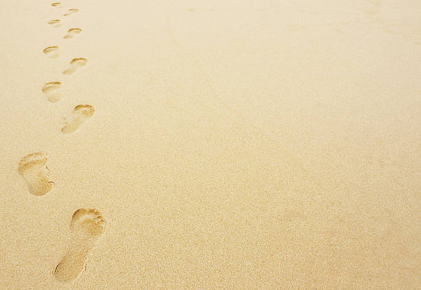 footprints in the sand background stock photo