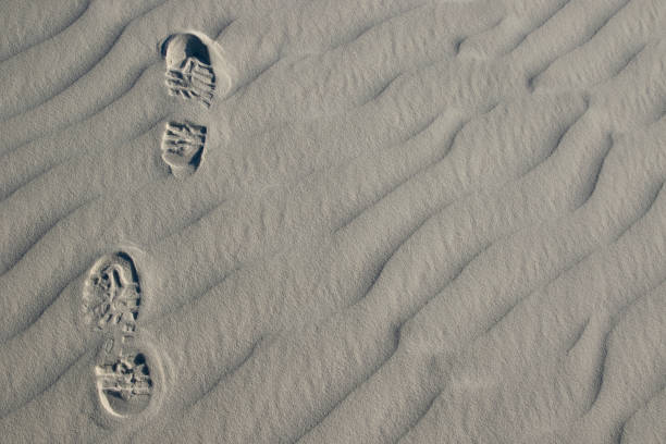 Footprints in the Sand Scenic White Sands National Monument erik trampe stock pictures, royalty-free photos & images