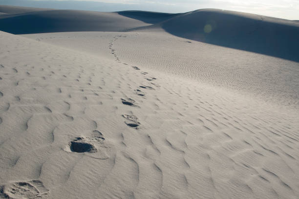 Footprints in the Sand Scenic White Sands National Monument erik trampe stock pictures, royalty-free photos & images