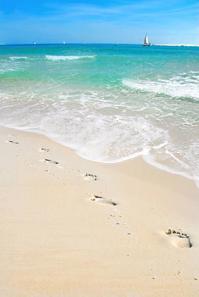 Footprints on Beach stock photo