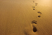 istock Footprints 172248785