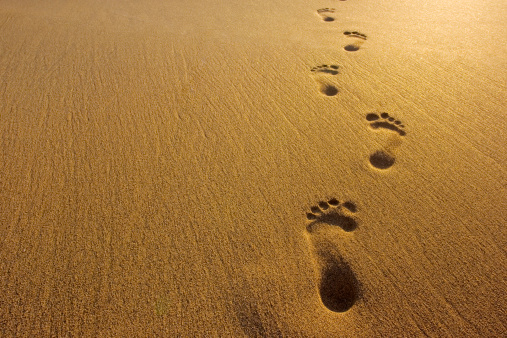 Footprints In The Sand Pictures | Download Free Images on Unsplash