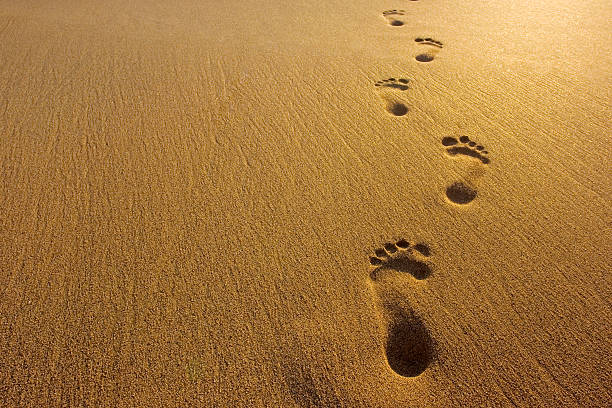 footprints - voeten in het zand stockfoto's en -beelden