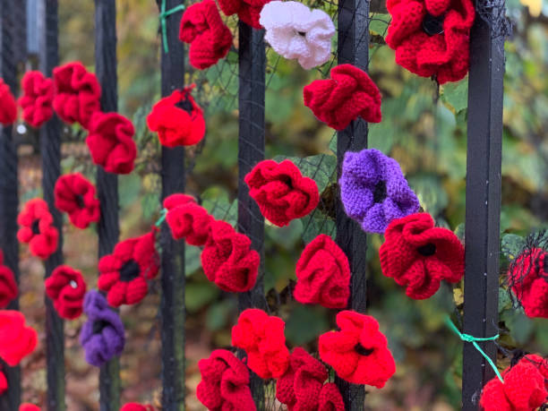 For Our Loved Ones Close-up of homemade knitted poppies attached to an iron fence outdoors in nature for Remembrance Sunday. It is a symbol of remembrance for the fallen soldiers during World War One. memorial day background stock pictures, royalty-free photos & images