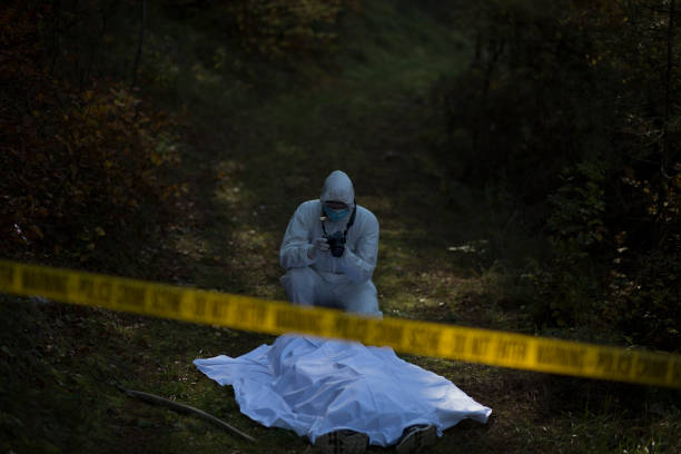 Forensic in a squat position takes the photo of the crime scene Forensic in a squat position takes the photo of the crime scene enclosed with the cordon tape in the woods murder stock pictures, royalty-free photos & images