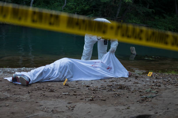 Forensic pathologist taking photos of evidence stock photo Number, Serbia, Dead Person, Adult, Adults Only crime scene stock pictures, royalty-free photos & images