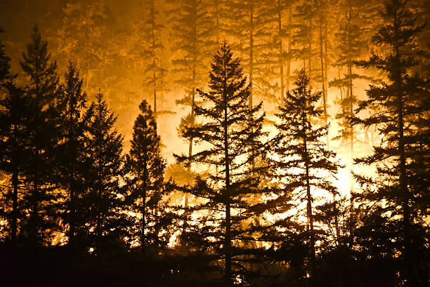 wildfire northern california